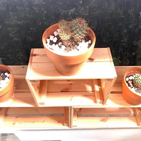 Green Modern House@castle Lauro